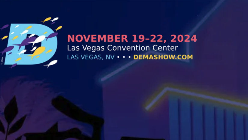 DEMA 2024 feature