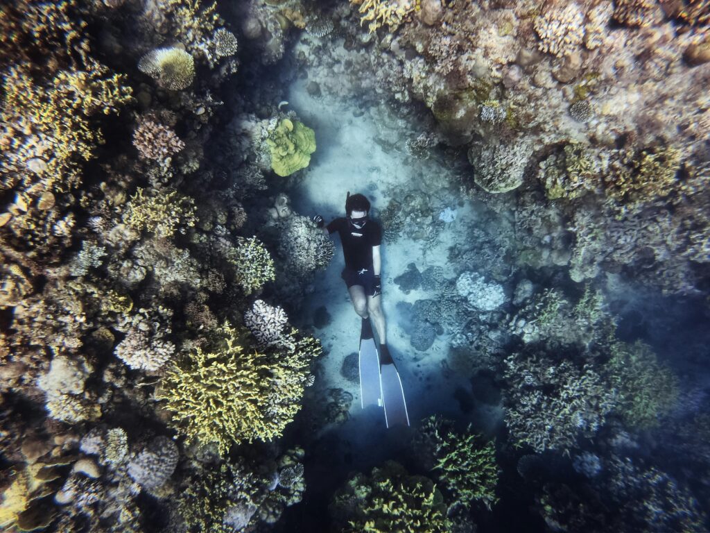 a picture of a diver who knows why is the ocean blue