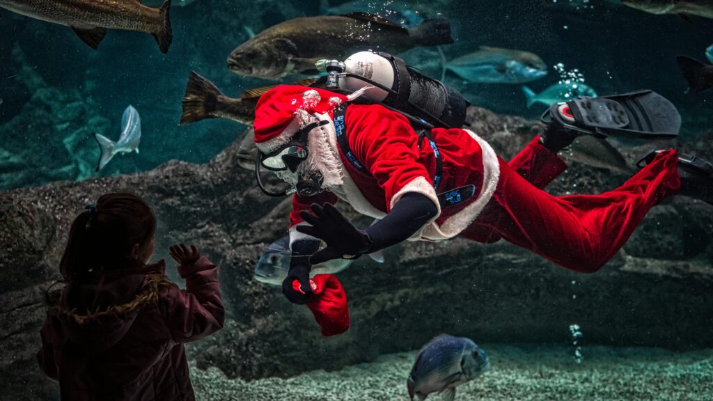 a photo of a Santa wearing colorful dive gear
