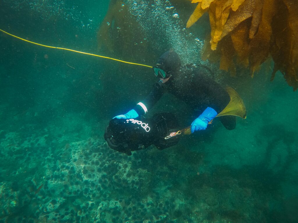 a scuba diver tied to a harness