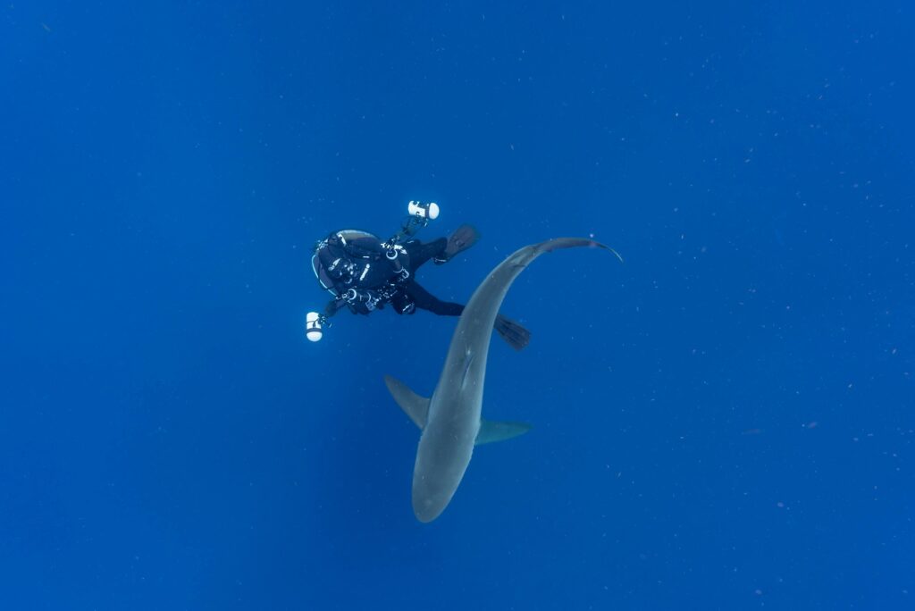 a diver with a perfect scuba diving gadget to gift a diver