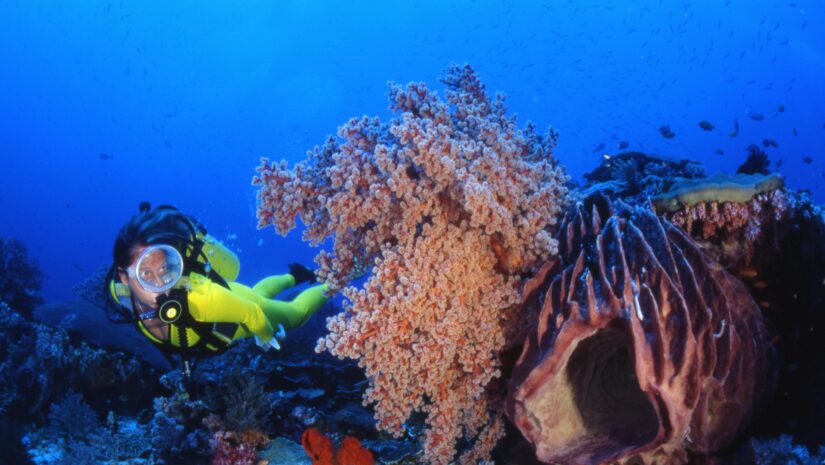 a woman wearing colorful gear for divers