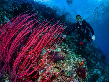Photo of a diver who bought from the list of gift ideas for divers