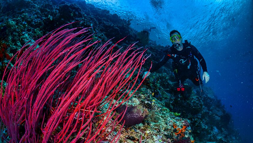 Photo of a diver who bought from the list of gift ideas for divers
