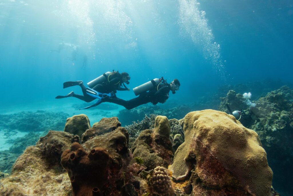 Open water course
