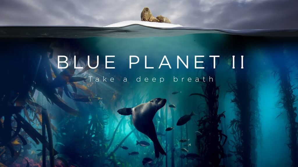 Blue Planet 3
Blue planet ii 2017 film wikipedia
The Blue Planet Season 2
Blue Planet 2 release date
Blue Planet 2 Netflix
Blue Planet 1
Blue Planet 3 release date
Blue Planet II oceans of Wonder ocean film