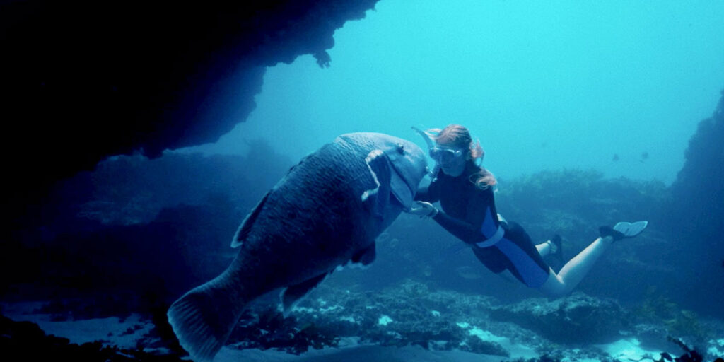 Blueback Netflix
Blueback 2022 film wikipedia
Blueback 2022 film netflix
Blueback 2022 film release date
Cast of blueback 2022 film
Is Blueback based on a true story
Blueback 2022 film trailer
Blueback trailer