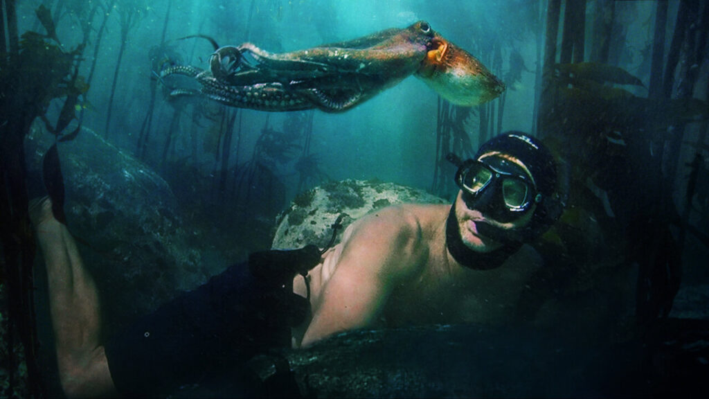 My Octopus Teacher controversy
My octopus teacher 2020 film wikipedia
My octopus teacher 2020 film summary
My octopus teacher 2020 film netflix
Octopus movie 2020
My Octopus Teacher full Movie youtube
How to watch My Octopus Teacher without Netflix
My Octopus Teacher Craig Foster first wife