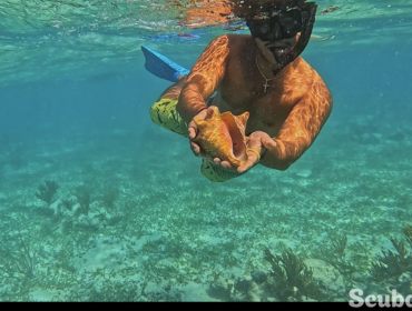 Underwater Photography and filmmaking_1
