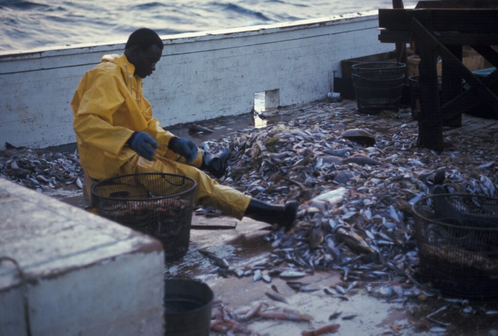 commercial fisheries that combat Arctic wildlife conservation