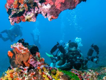 a dive trip with friends picture