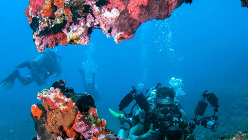 a dive trip with friends picture