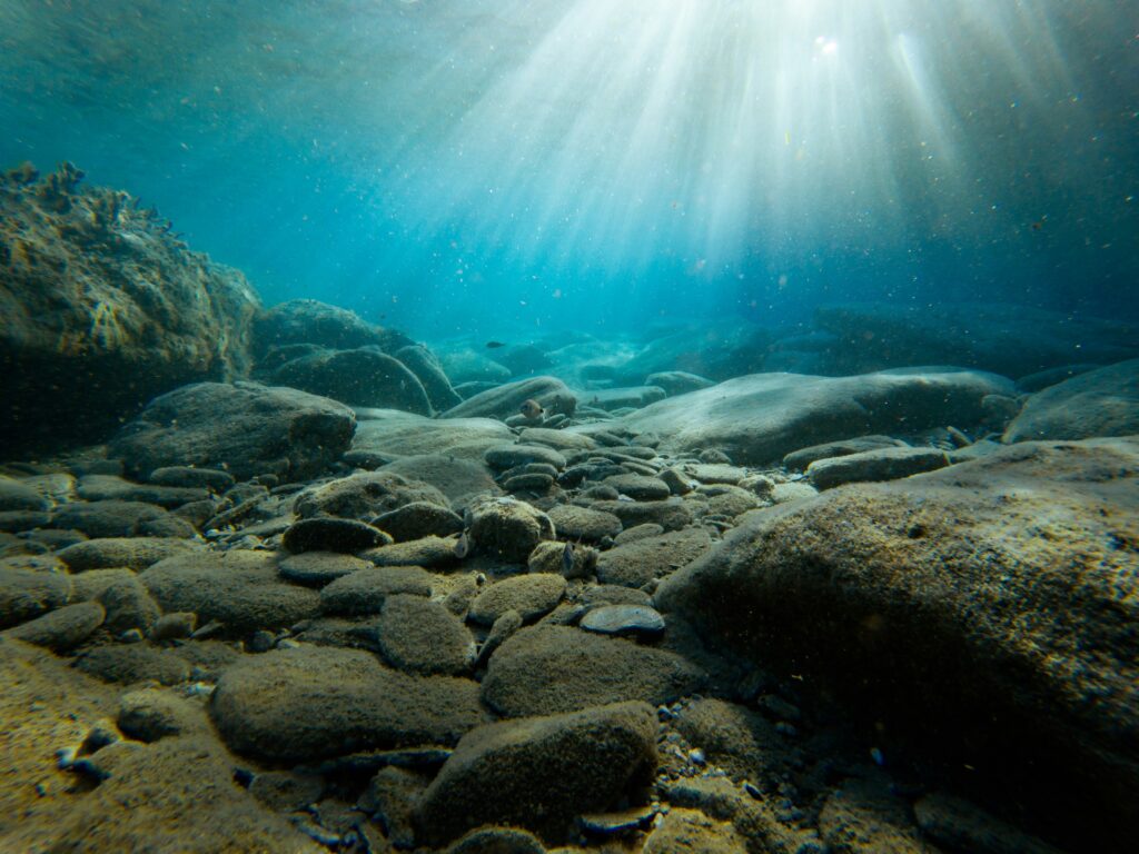 a photograph taken by an underwater camera using underwater photography tips