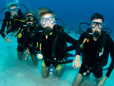family diving together