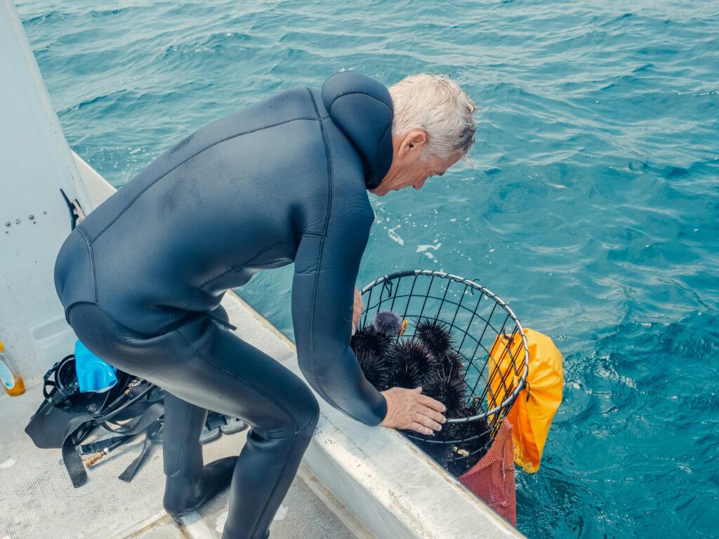 a retired scuba diver catching some fresh sea urchins