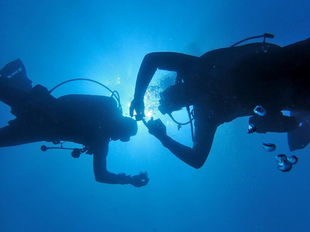 two divers meeting near the surface
