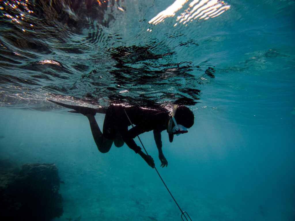 someone going spearfishing