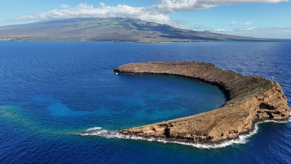 spring diving in Molokini Crater In Maui,Hawaii and West Side