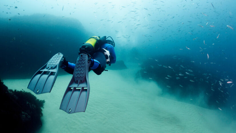 Split fins vs. Paddle fins