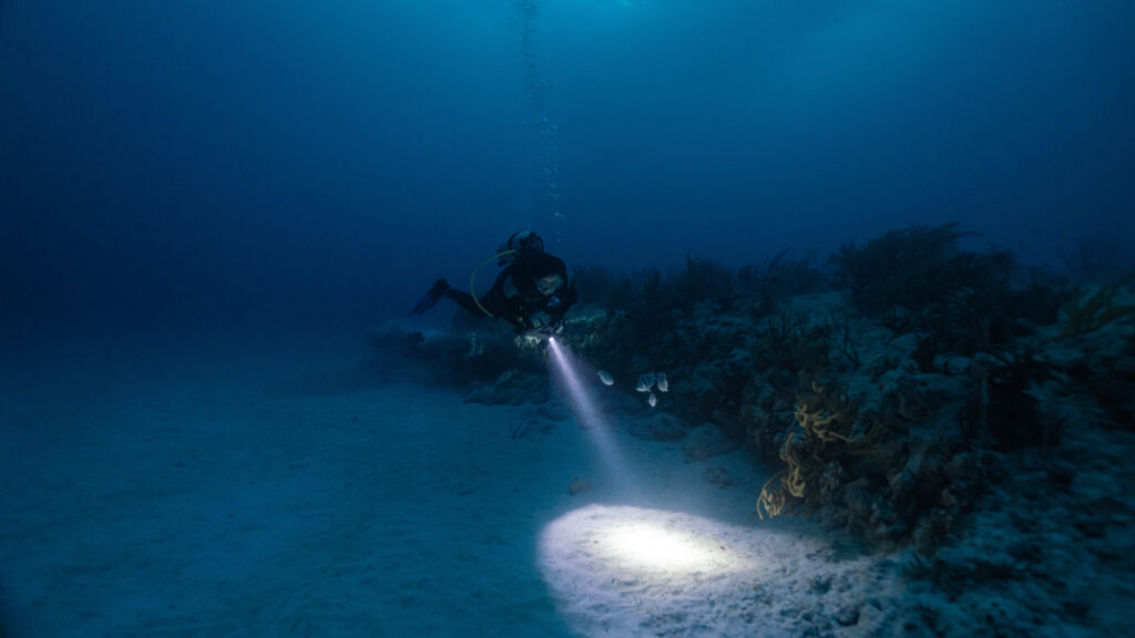 Diver at night with torch