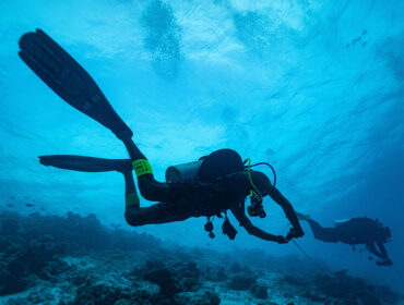 essential dive gear feature image of Scuba divers