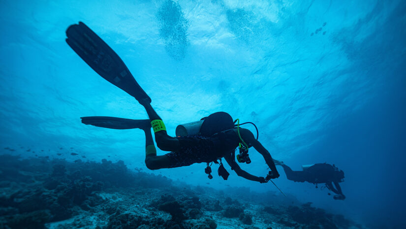 essential dive gear feature image of Scuba divers