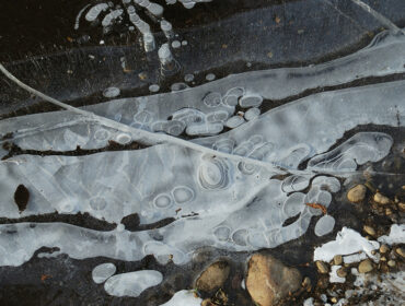 contaminated water