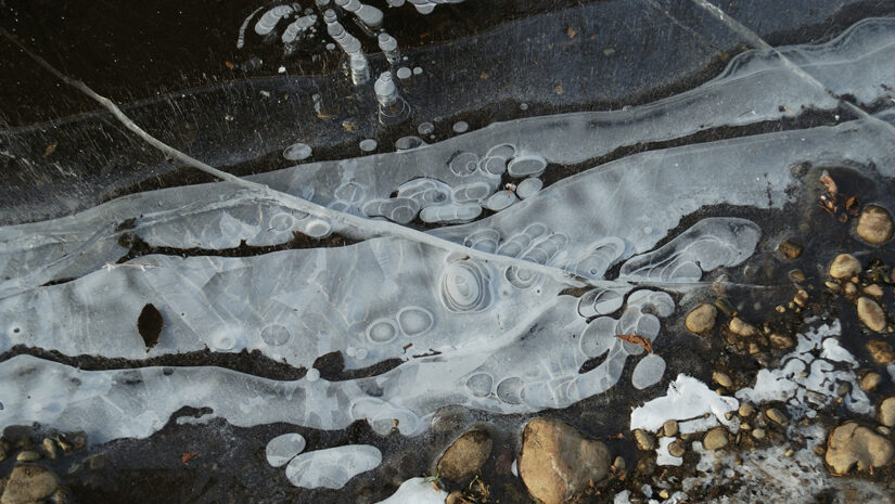 contaminated water