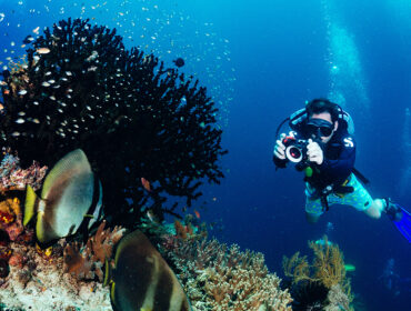 Underwater photographer taking picture
