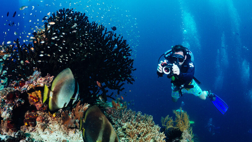 Underwater photographer taking picture