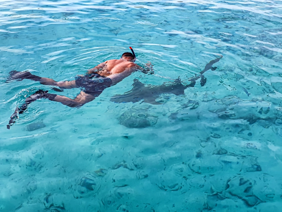 a man swimming on top of a shark