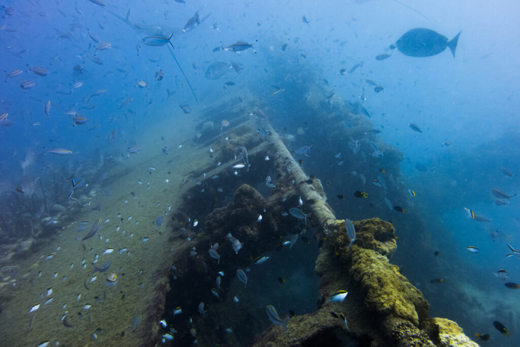 The wreck of the SS Yongala off Ayr, Queensland, Australia.