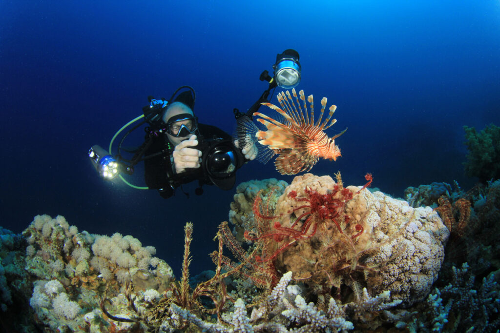 Scuba Diver takes an underwater photo of a Lionfish