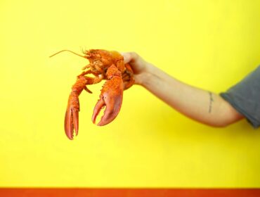 arm holding up a lobster