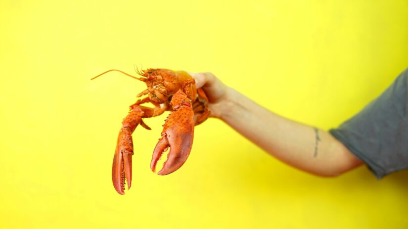 arm holding up a lobster