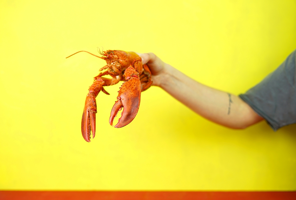 arm holding up a lobster