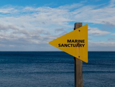 marine sanctuary sign posted in front of an ocean
