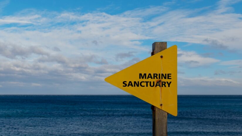 marine sanctuary sign posted in front of an ocean