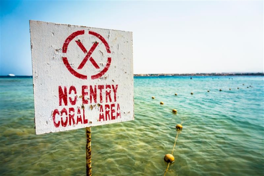 no entry coral area signage