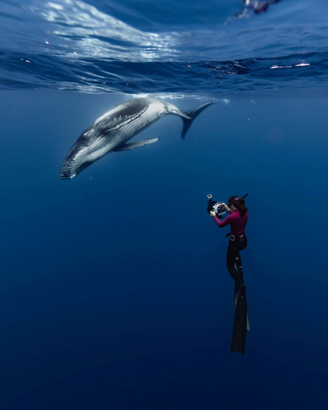 female underwater photographer