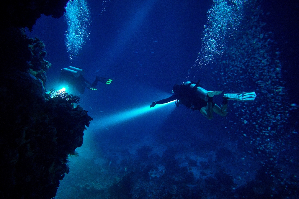 night diving example photo