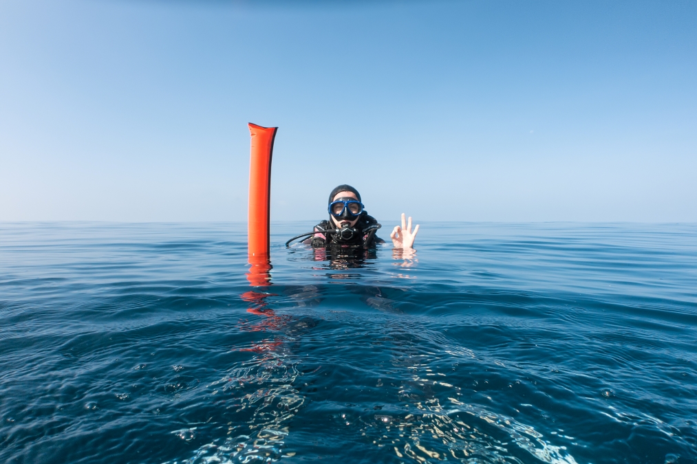 diver holds up OK signal with her hand