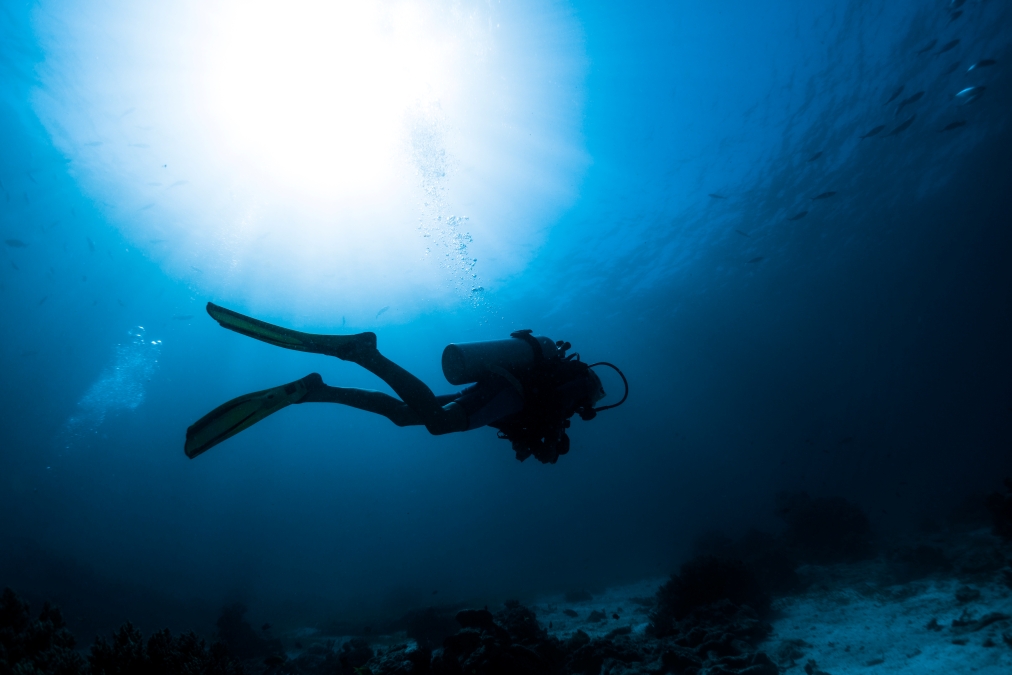 diver underwater with the surface behind her