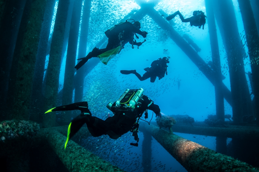 multiple divers observing a wreck