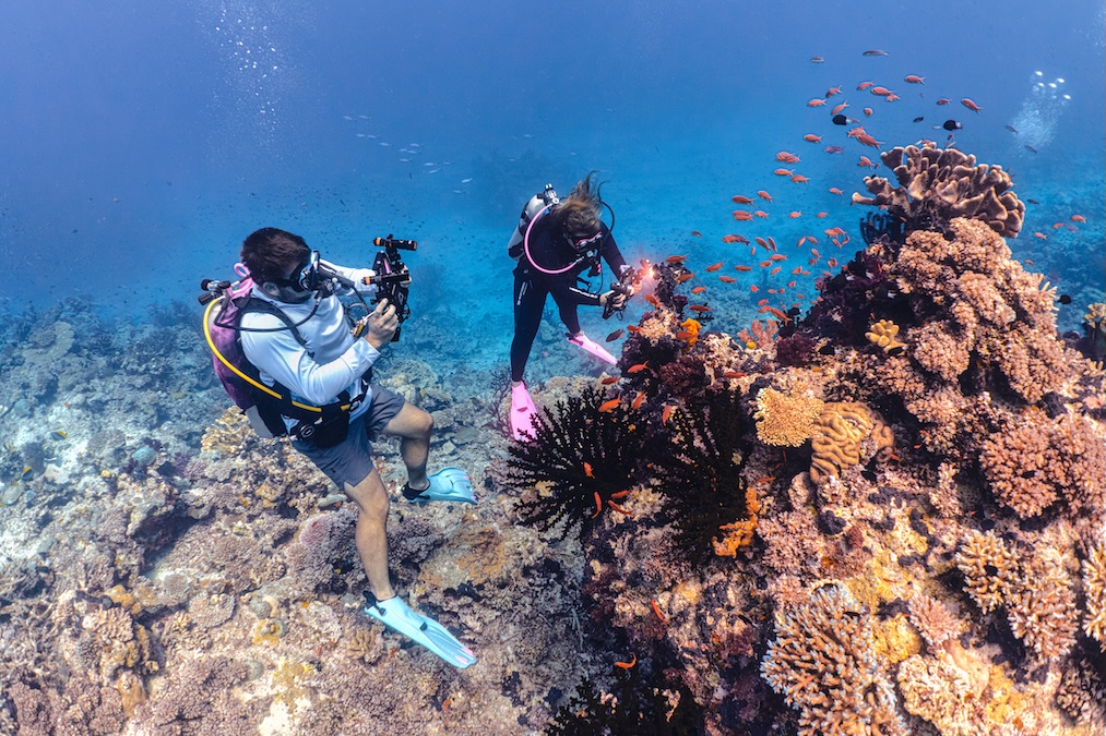 a scuba vlogger pointing their camera to a reef