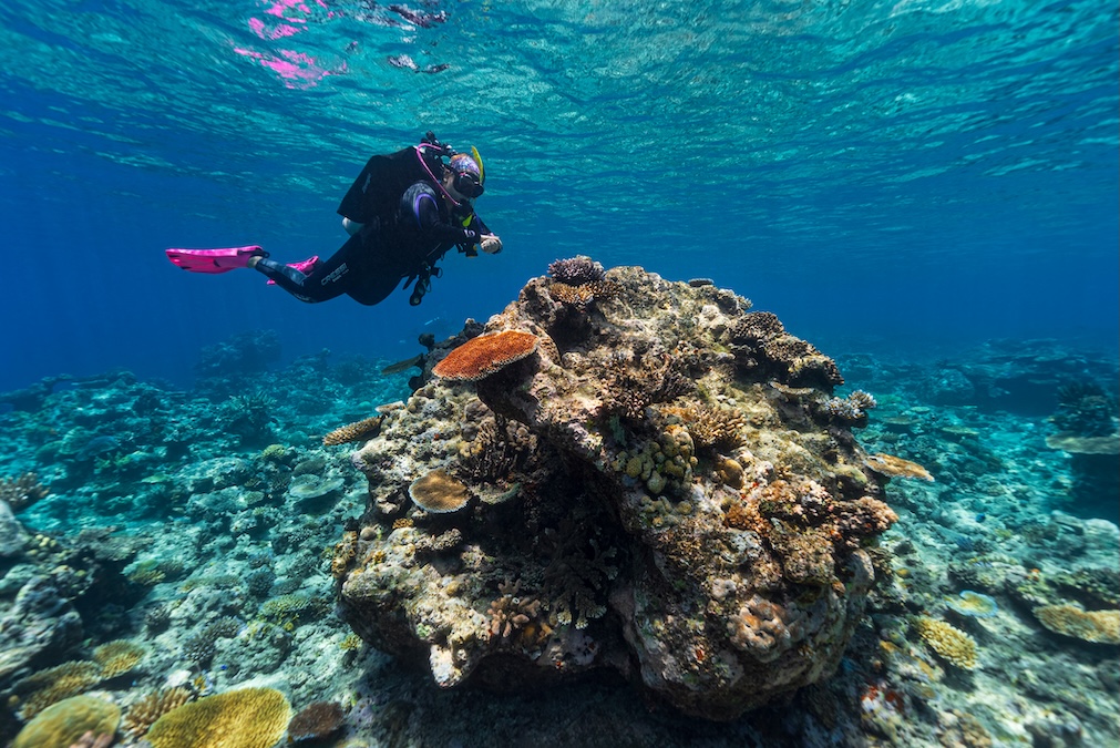 scuba diver hovering over a rock near the surface