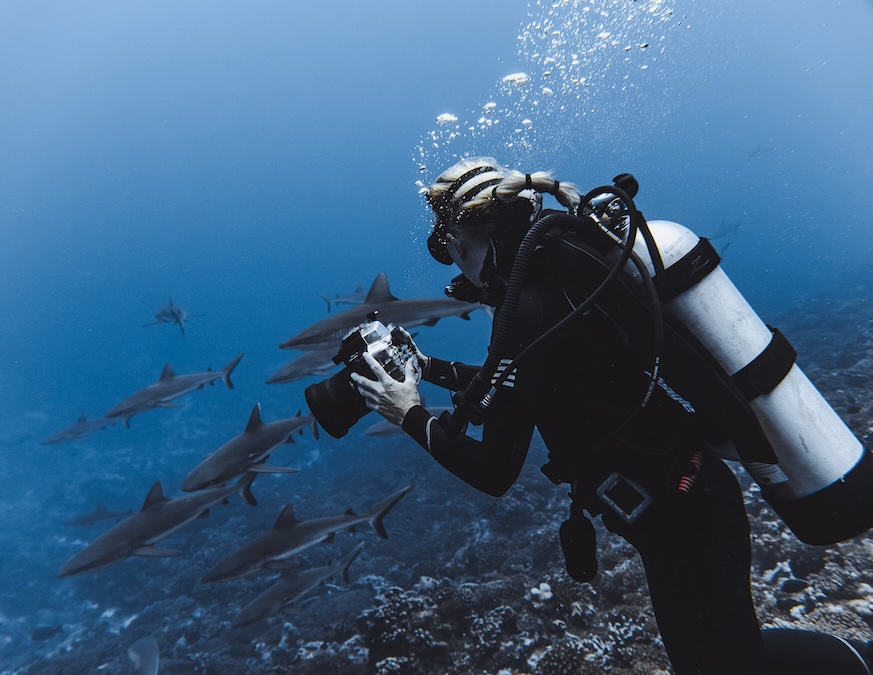 diver holding a camera