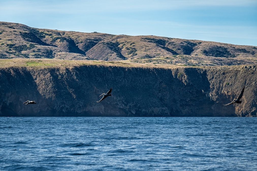 Cliff of Santa Cruz Island at Channel Islands National Park