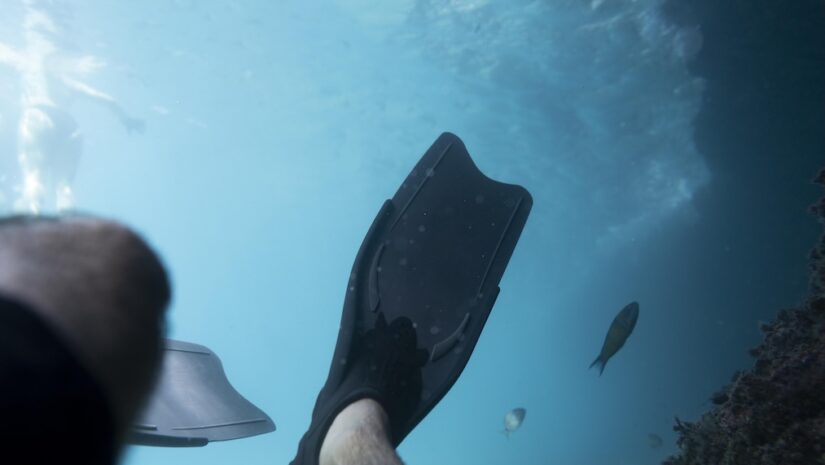 underwater shot of scuba fins