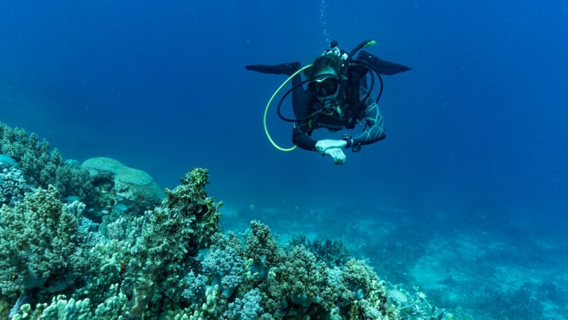 A scuba diver hovering just above a coral reef, looking directly at the camera, with a well-camouflaged octopus resting on the coral in the immediate foreground